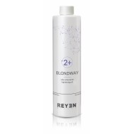 Blondway 2+ - Ammoniakfreies Aufhellungsöl - 2 Tonhöhe