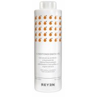 Reyen feuchtigkeitsspendende Conditioner - für gefärbtes Haar