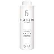 5 Vol. Developer - InSy