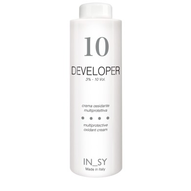 10 Vol. Developer - InSy