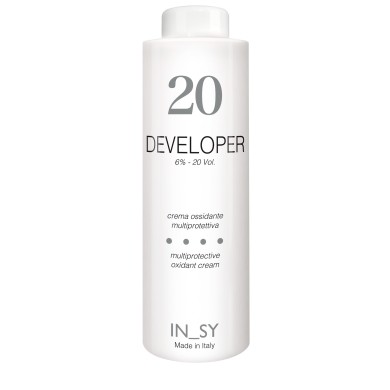 20 Vol. Developer - InSy