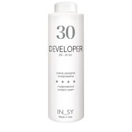 30 Vol. Developer - InSy