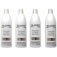 Blankö Developer